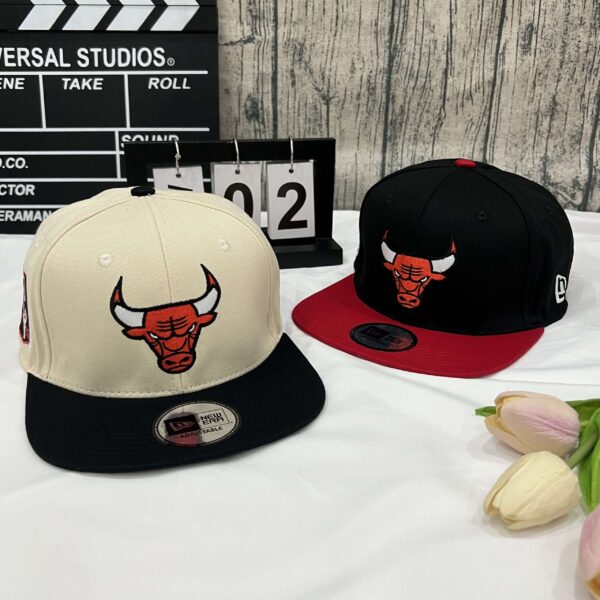 Bulls Champion Cap